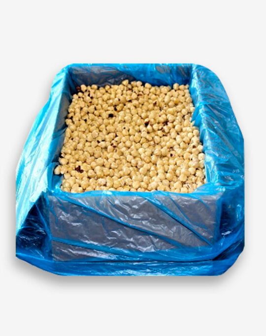 Avellana cruda repelada 5 kg.