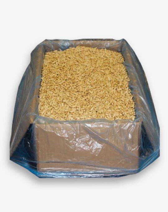 Piñón Castilla 5 kg.