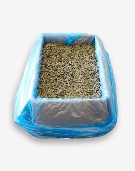 Pipa cruda calabaza en grano 5kg